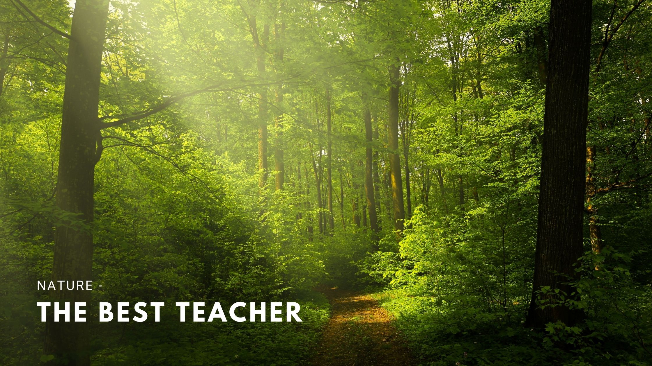 Nature - The Best Teacher for Mankind